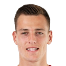 拉德克·维特克