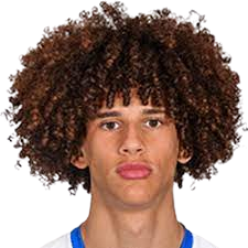 拉扬·贾瓦德·科利